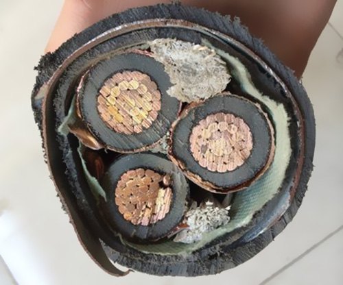  我國電纜工業(yè)已構(gòu)成類別較完全、規(guī)劃較大